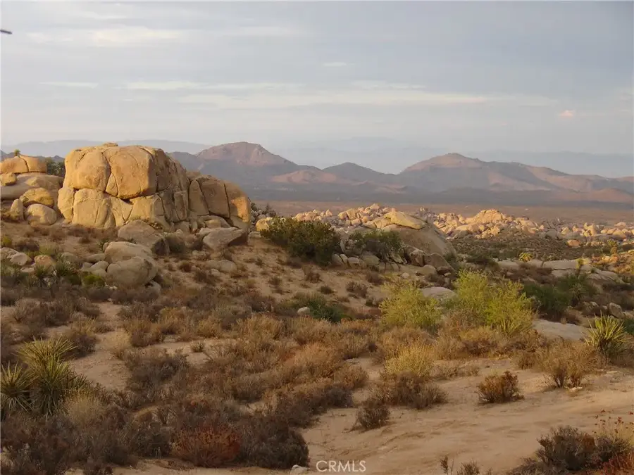 52588 Blackbrush, Pioneertown, CA 92268 - #3