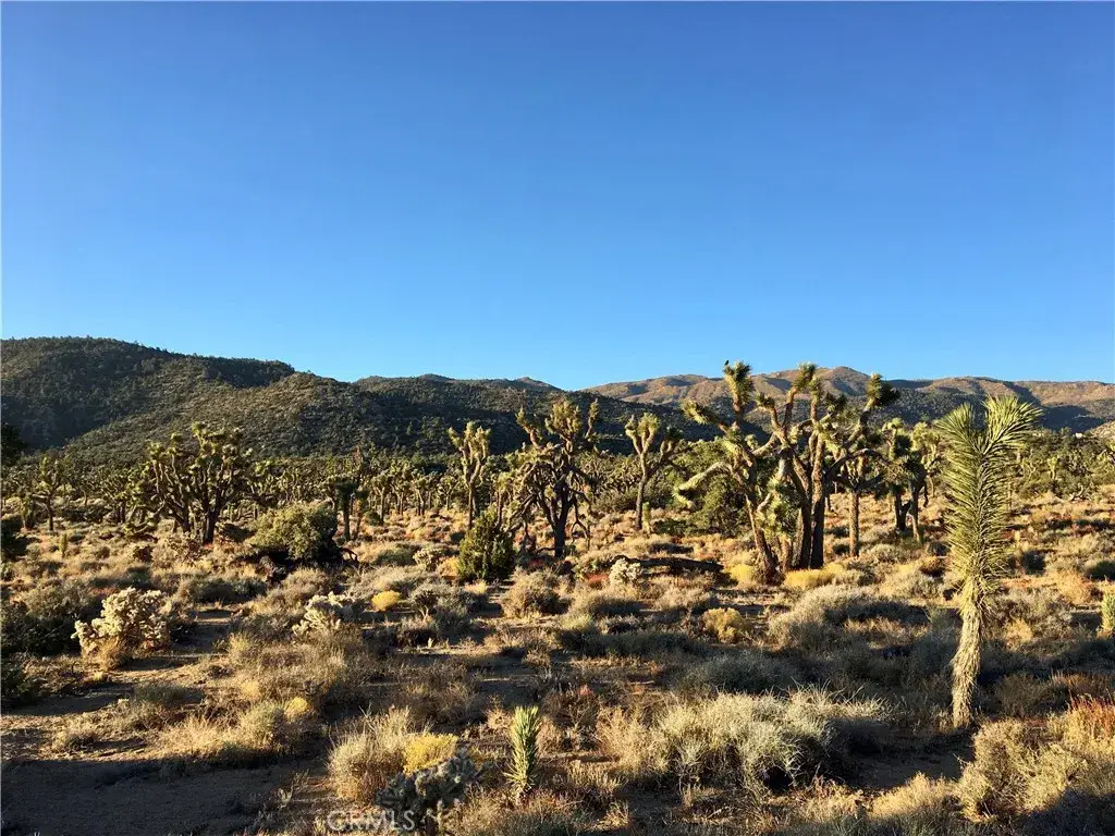 26 Vista, Pioneertown, CA 92356 - #1