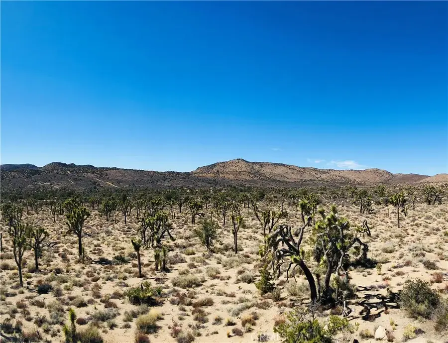 26 Vista, Pioneertown, CA 92356 - #3