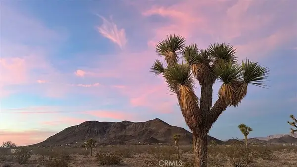 59775 Bearing Tree, Landers, CA 92285