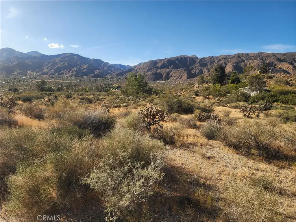 53006 Apache, Morongo Valley, CA 92256 - #1