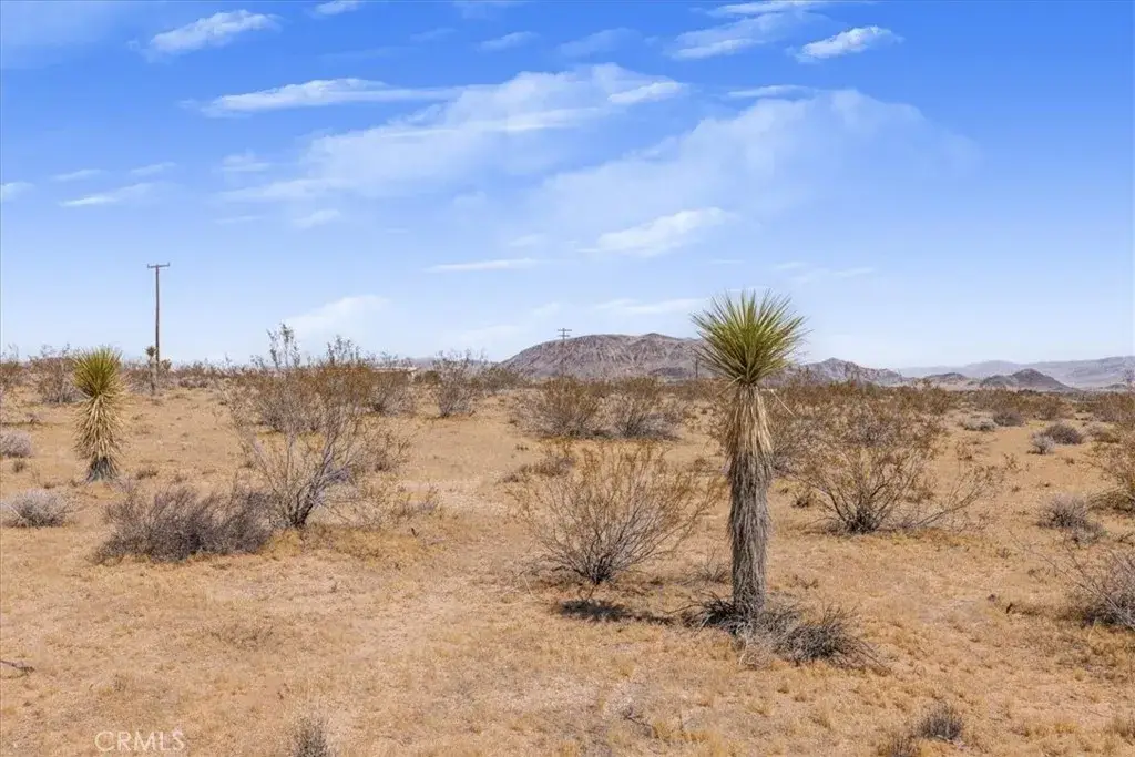 3 Ducor, Landers, CA 92285 - #1