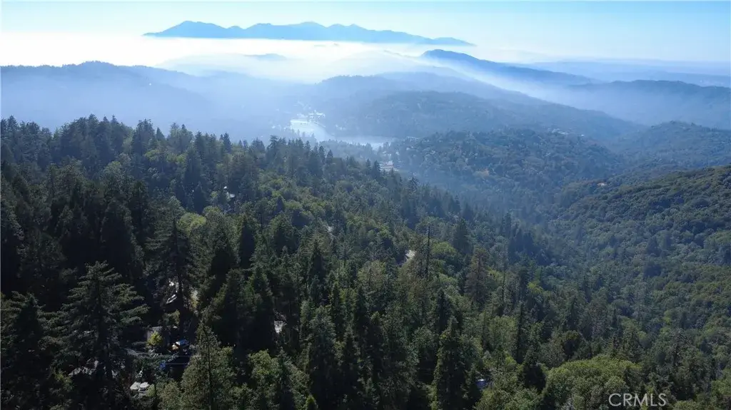 25659 North, Twin Peaks, CA 92391 - #1