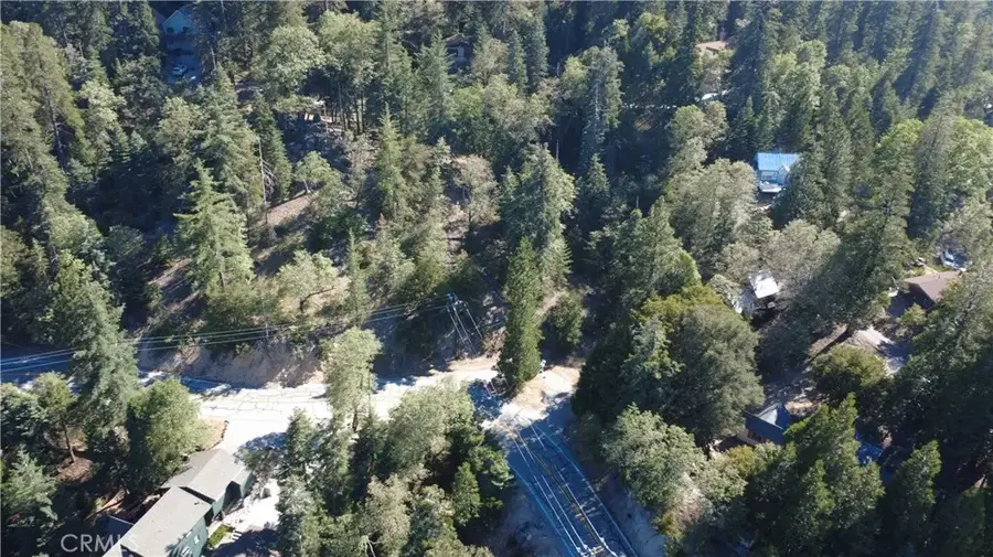 25659 North, Twin Peaks, CA 92391 - #3