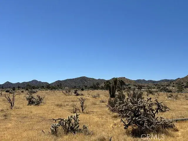 58225 San Andreas, Yucca Valley, CA 92284 - #2