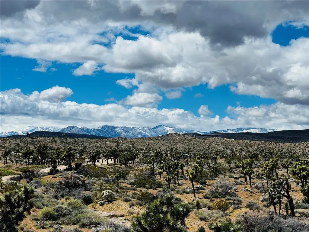 57864 Sunflower, Yucca Valley, CA 92284 - #1