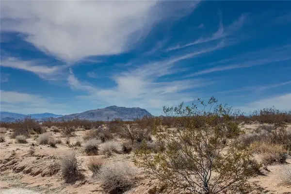 3374 Sunny Hill, Joshua Tree, CA 92252