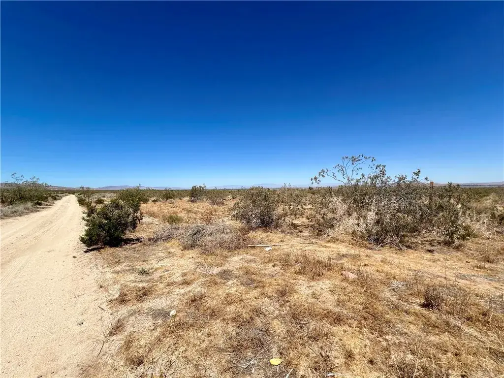 33501 165th Street E, Llano, CA 93544 - #1