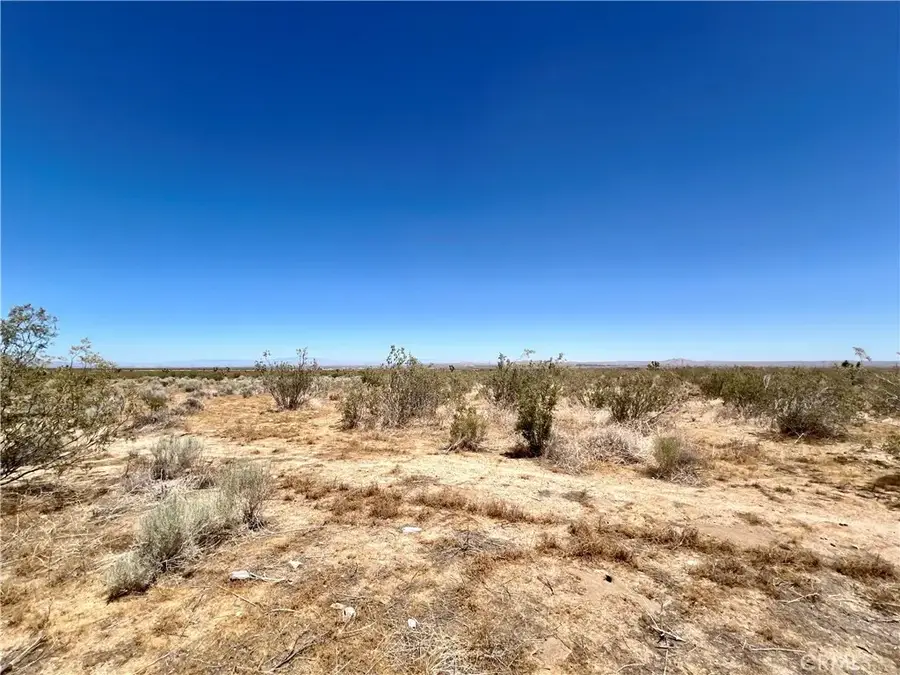 33501 165th Street E, Llano, CA 93544 - #3