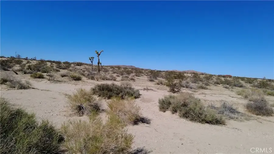 0 Campanula, Joshua Tree, CA 92252 - #3