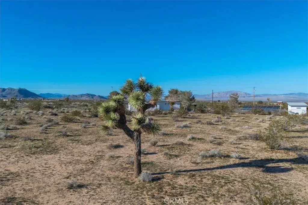 61628 Jupiter, Joshua Tree, CA 92252 - #1