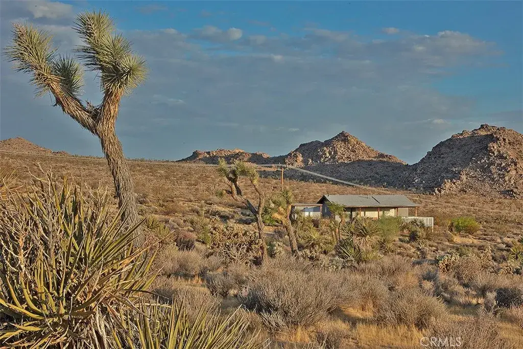 8421 Sunset Road, Joshua Tree, CA 92252 - #1