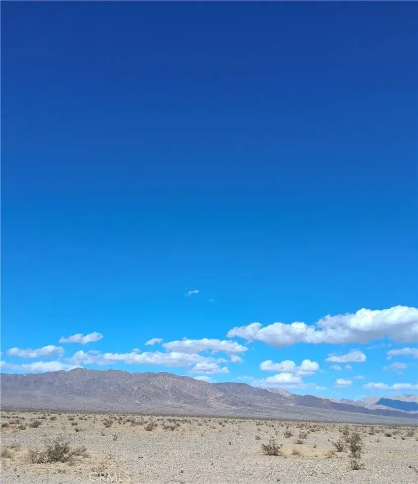 101 Screech Owl, Twentynine Palms, CA 92277 - #2