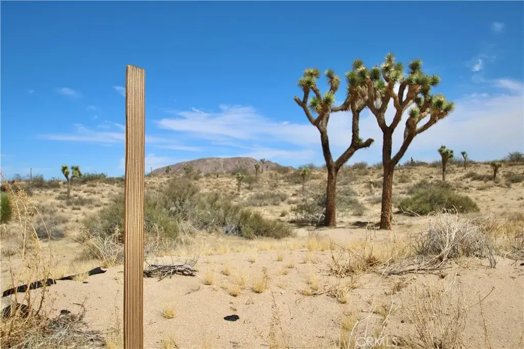 0 Pine, Landers, CA 92285 - #1