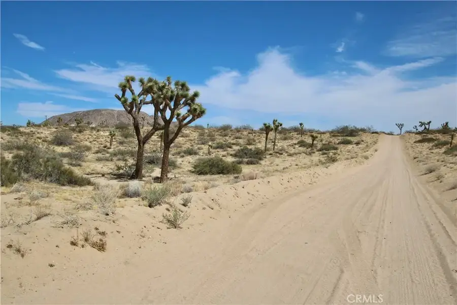 0 Pine, Landers, CA 92285 - #2