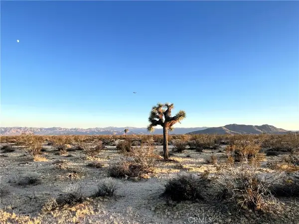 1010 Celeste, Joshua Tree, CA 92252