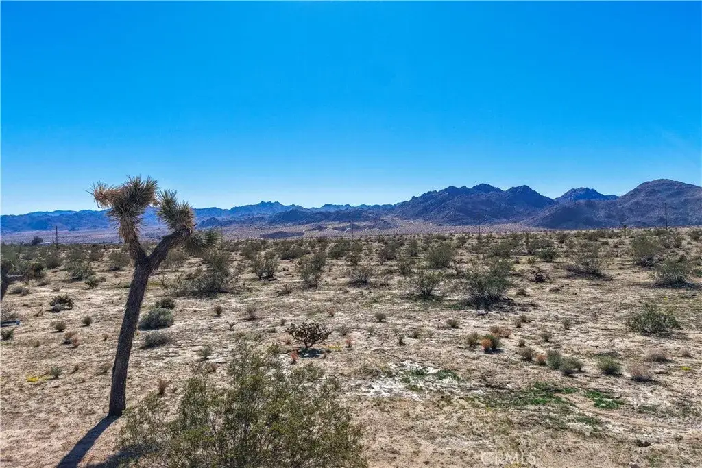 62407 Crestview, Joshua Tree, CA 92252 - #1
