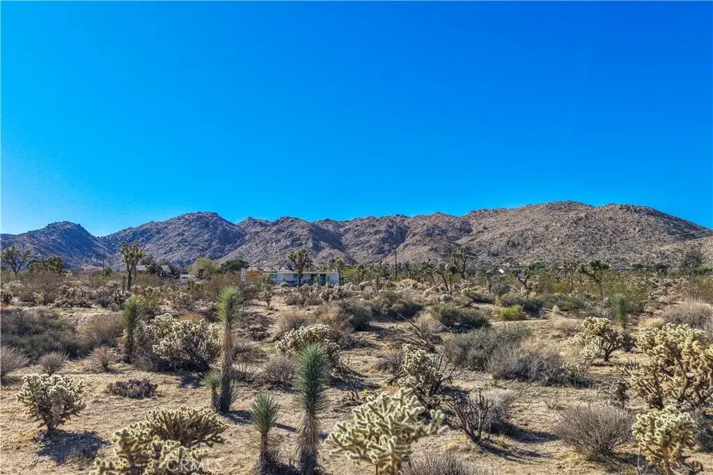 7505 Sherwood, Joshua Tree, CA 92252 - #1