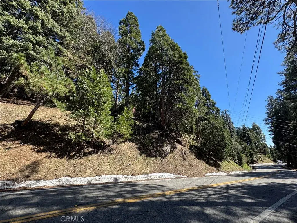 0 North, Twin Peaks, CA 92391 - #1