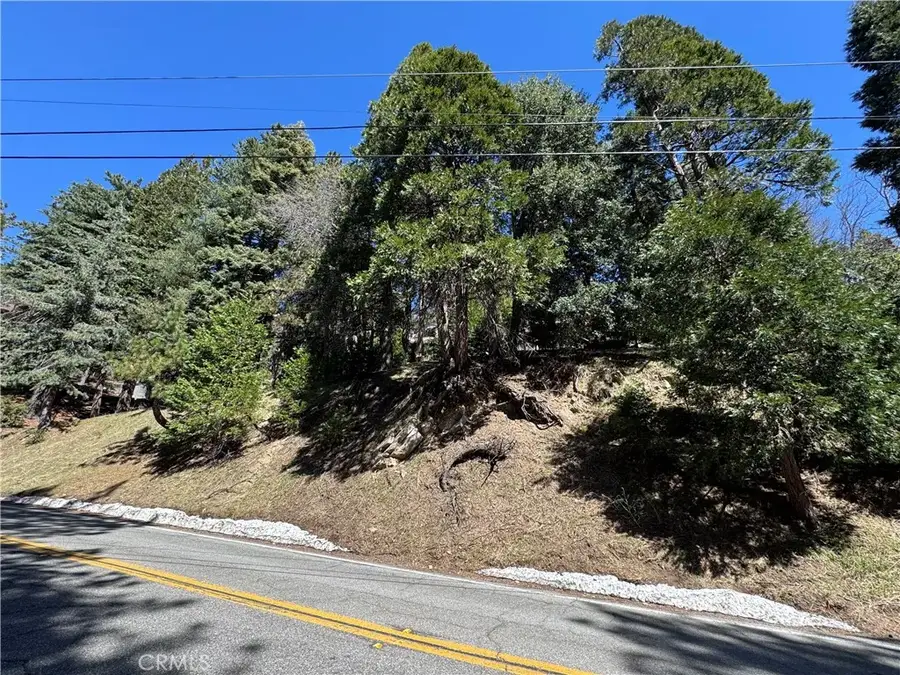 0 North, Twin Peaks, CA 92391 - #2