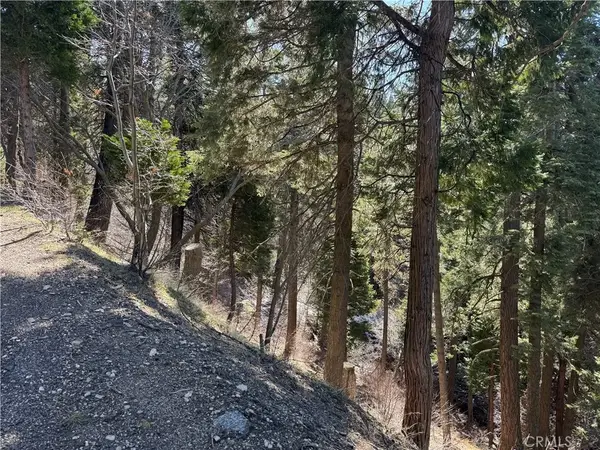 0 Sunderland, Lake Arrowhead, CA 92352