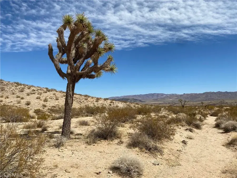 3025 Flamingo, Joshua Tree, CA 92252 - #3