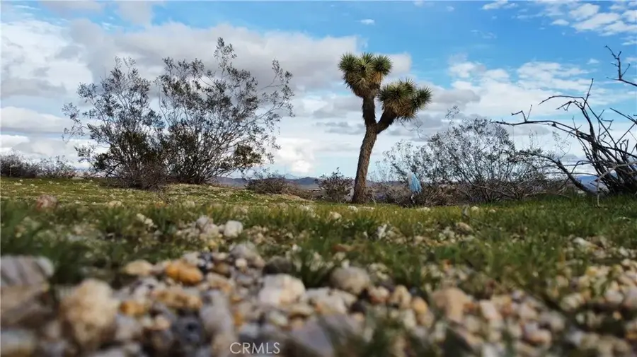 0 Campanula, Joshua Tree, CA 92252 - #2