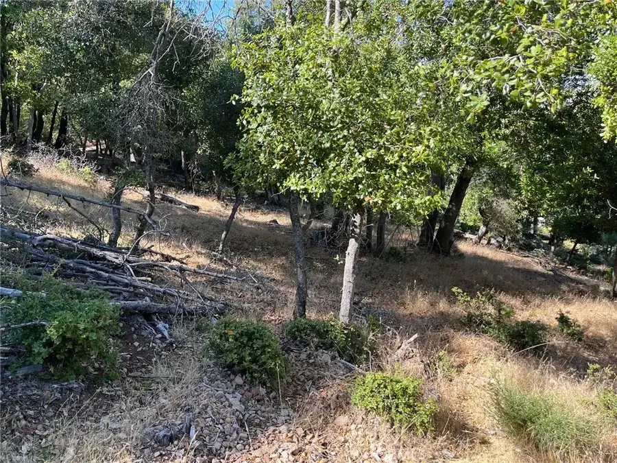 3599 Pine Terrace, Kelseyville, CA 95451 - Image #2