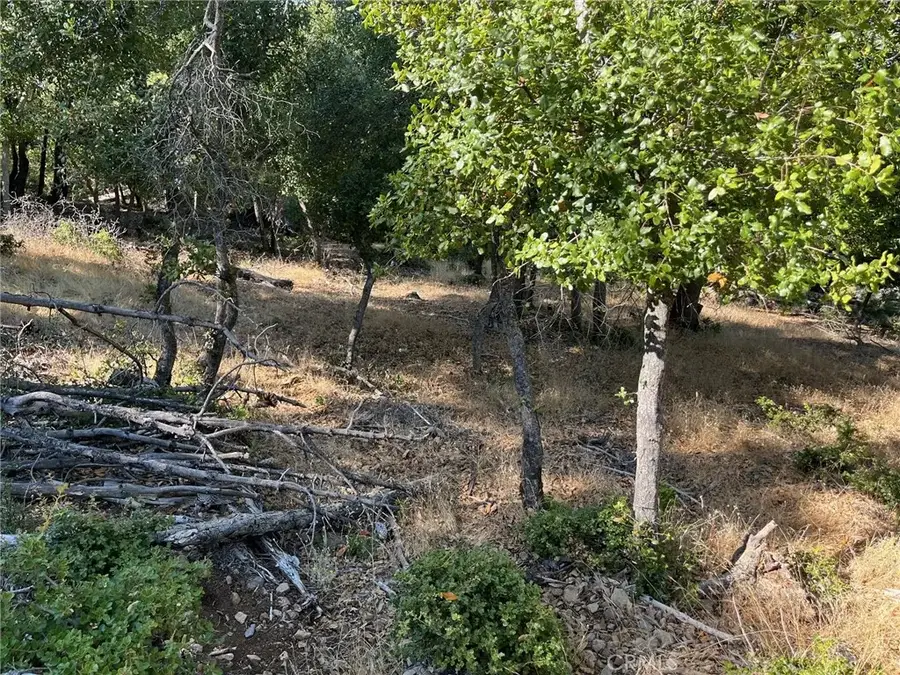 3599 Pine Terrace, Kelseyville, CA 95451 - Image #3