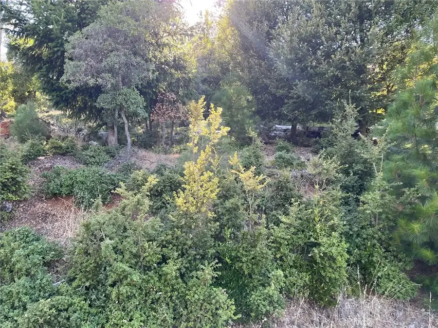 3607 Pine Terrace, Kelseyville, CA 95451 - Image #2
