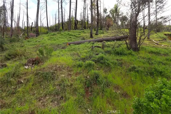 11541 Anderson Springs, Middletown, CA 95461