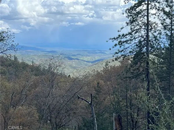 11256 Loch Lomond, Loch Lomond, CA 95461