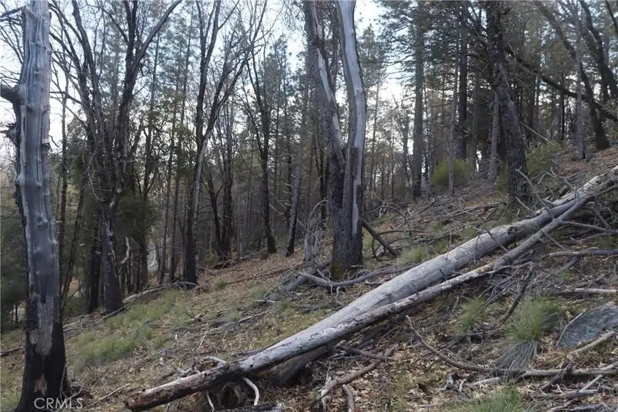 11256 Loch Lomond, Lake, CA 95461 - Image #3