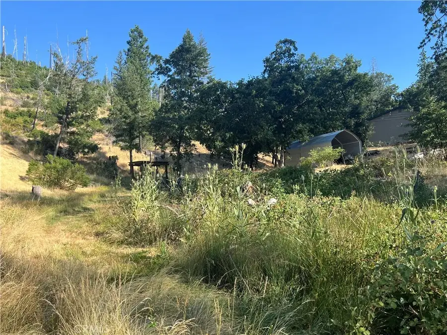 14533 Snead, Cobb, CA 95426 - Image #3