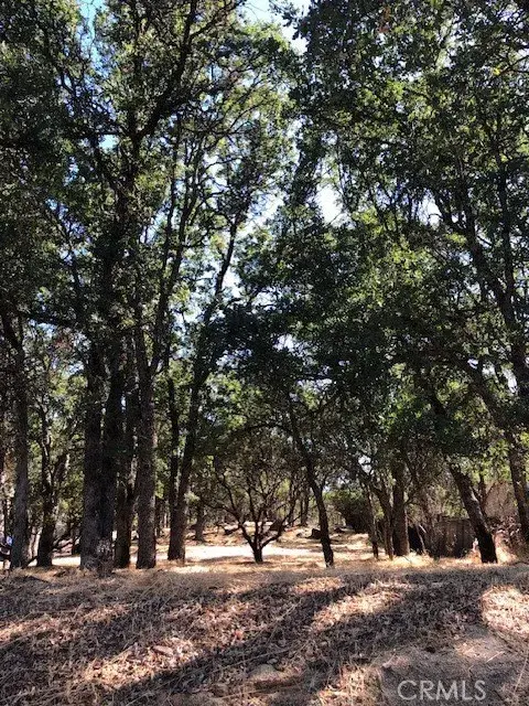 19200 Moon Ridge, Hidden Valley Lake, CA 95467 - #1