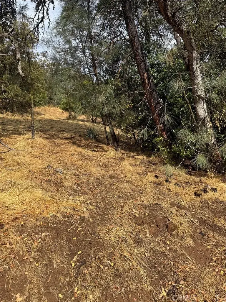 12504 Lakeview, Clearlake Oaks, CA 95423 - #1
