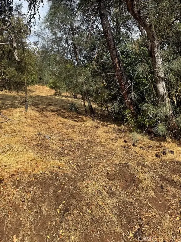 12504 Lakeview, Clearlake Oaks, CA 95423