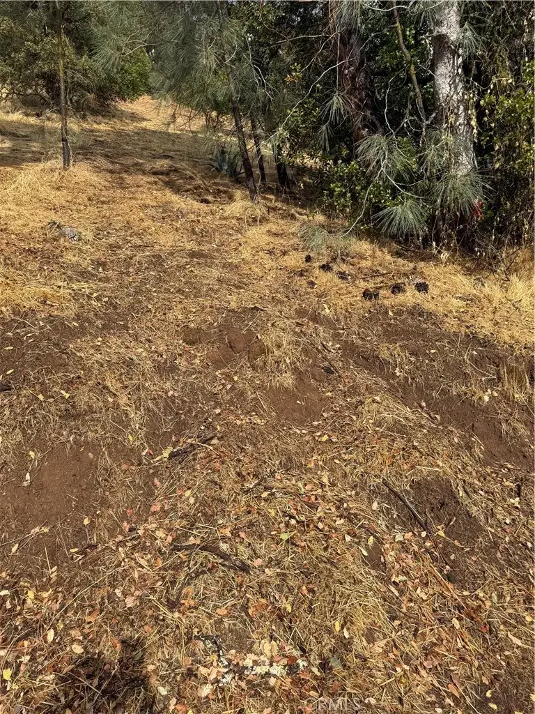 12504 Lakeview, Clearlake Oaks, CA 95423 - #2