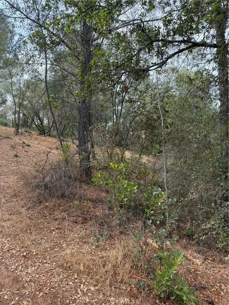 3475 Garfield, Clearlake, CA 95422 - #2