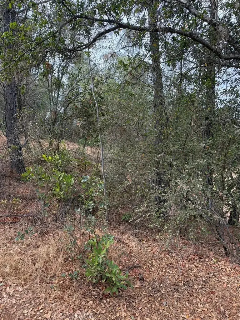 3475 Garfield, Clearlake, CA 95422 - #3