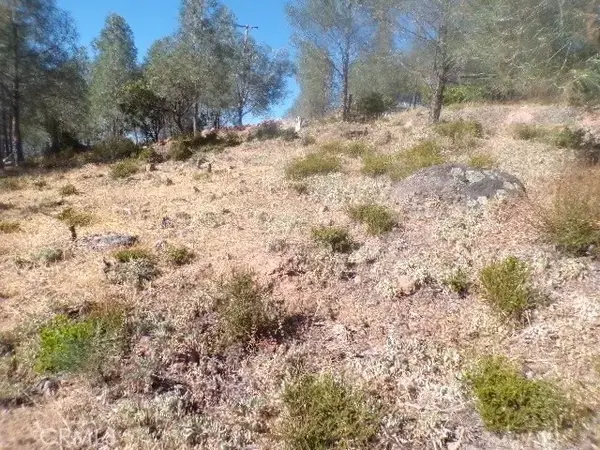 10070 El Capitan, Kelseyville, CA 95451