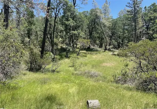 9660 Harrington Flat, Loch Lomond, CA 95461