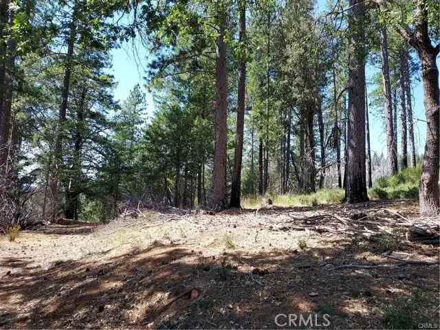 16102 Sugar Pine Ridge, Cobb, CA 95426 - Image #1