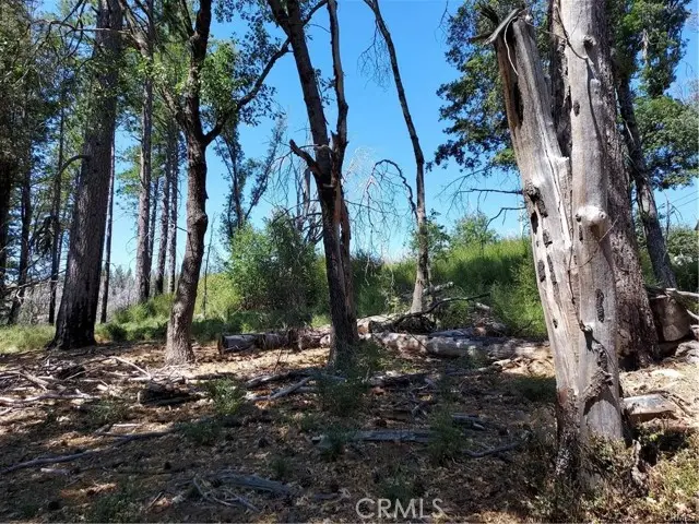 16102 Sugar Pine Ridge, Cobb, CA 95426 - Image #3