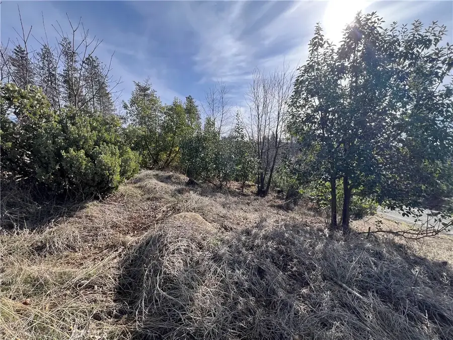 16070 Pine, Cobb, CA 95426 - Image #3