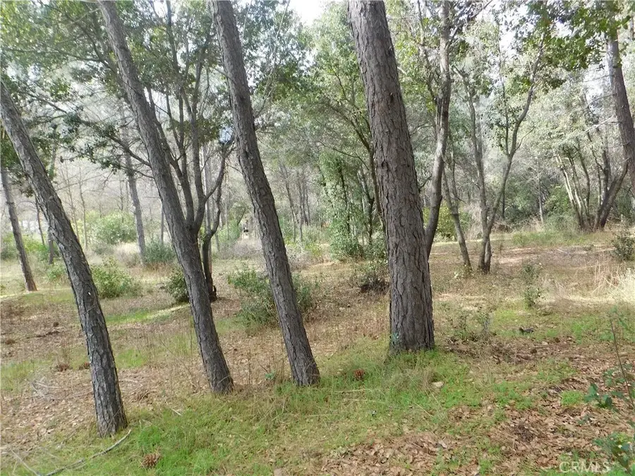 5834 Spruce, Clearlake, CA 95422 - #2