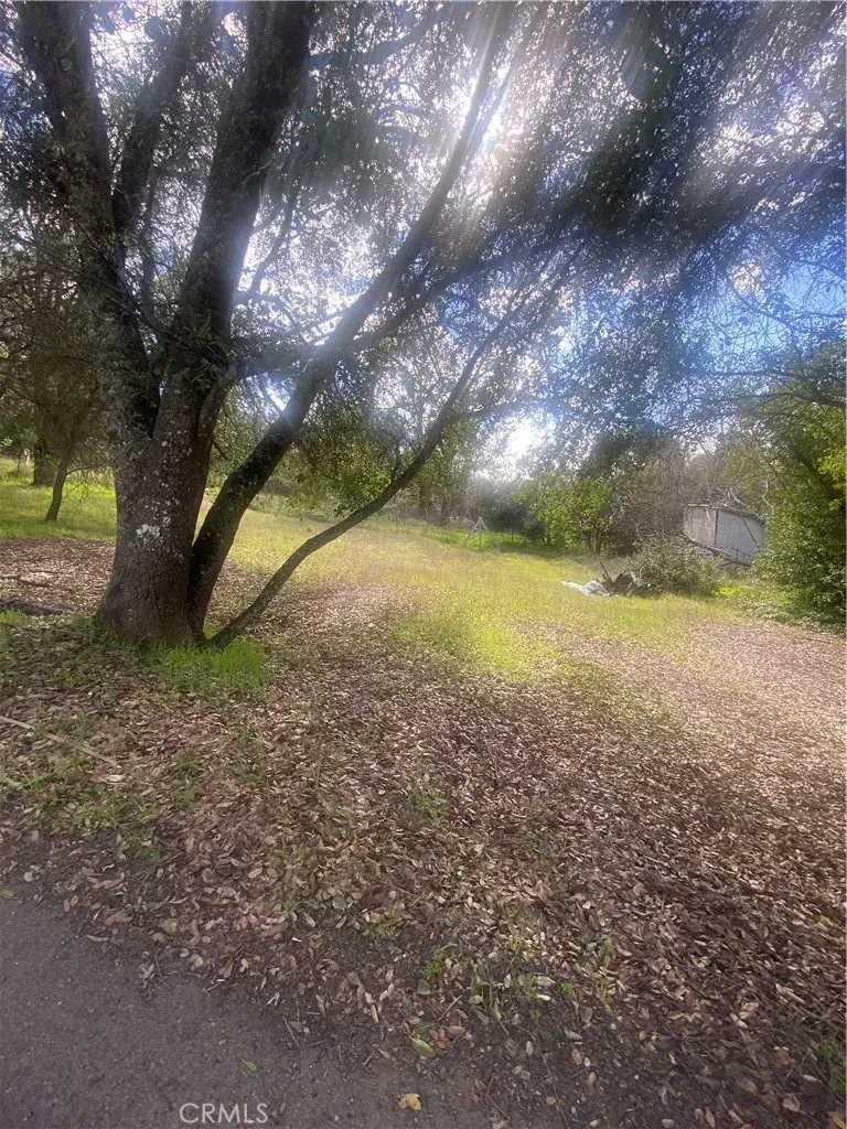 7005 Marin, Nice, CA 95464 - Image #1