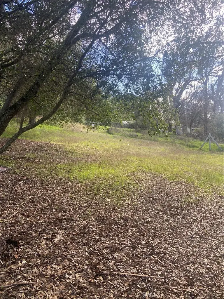 7005 Marin, Nice, CA 95464 - Image #2