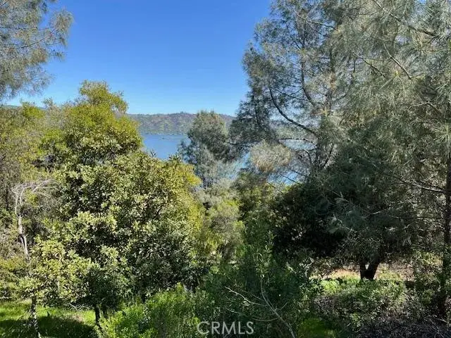 8444 Soda Bay, Kelseyville, CA 95451 - #1