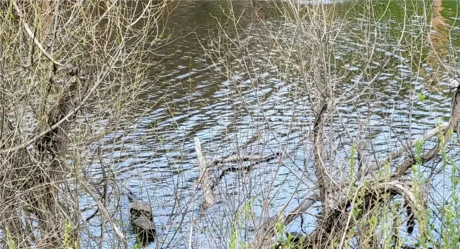 13488 Marina Village, Clearlake Oaks, CA 95423 - Image #3